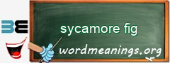 WordMeaning blackboard for sycamore fig